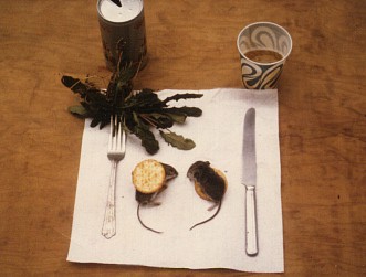 Rats on Ritz Crackers